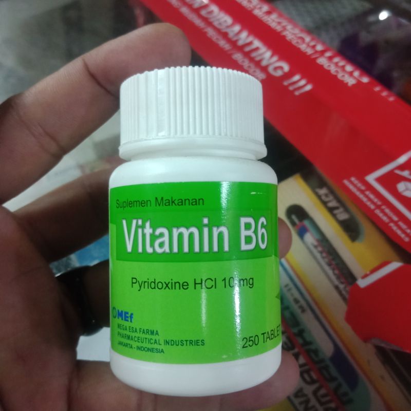 VITAMIN B6 10mg MEF Suplemen Makanan 250tablet