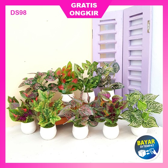 Pot Vas Pas Tanaman Bunga Hias Plastik Dekorasi Rumah Meja Besar Daun Dinding Gantung Murah Unik A11