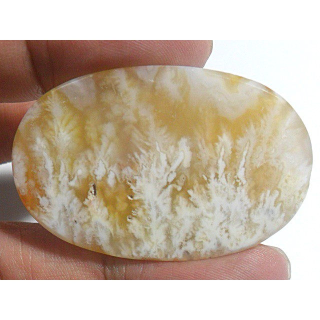 AG299 Oval Cabochon 43X28mm 83.6ct Natural Picture Agate White Orange Exotic Flower Cluster