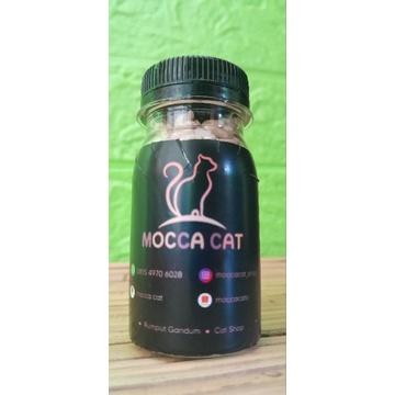 BIBIT RUMPUT GANDUM RUMPUT KUCING 50 GRAM