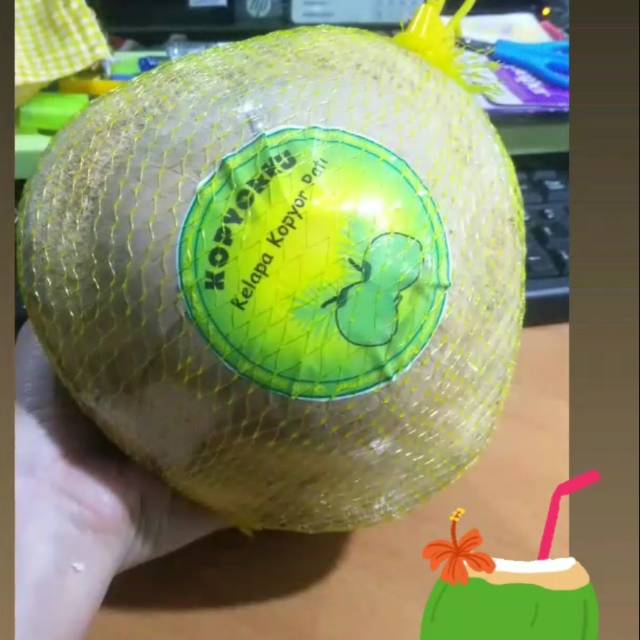 

Kelapa Kopyor jumbo