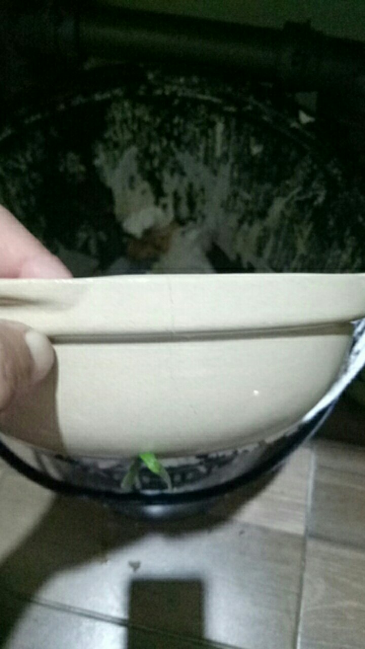 Panci Keramik Sapo Po75 (21x6cm)