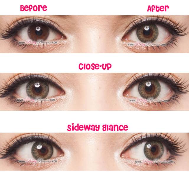 Softlens Geo Cessy Berry