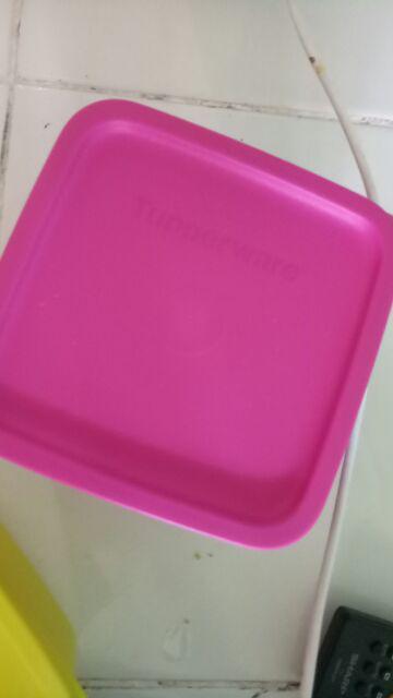 Small Summer Fresh Ecer