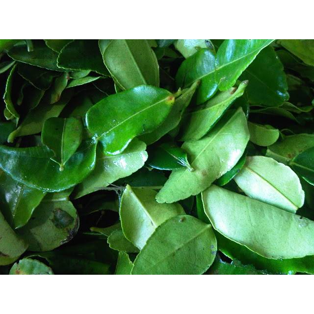 

Daun jeruk 50 gram