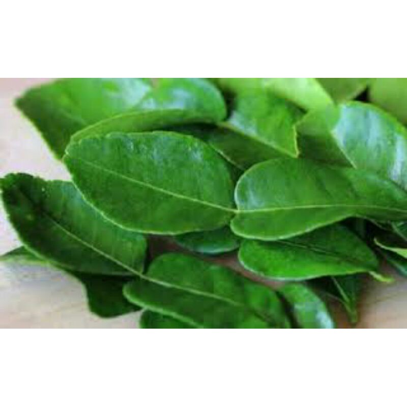 

Daun Jambu Air Segar Per 1 Kg