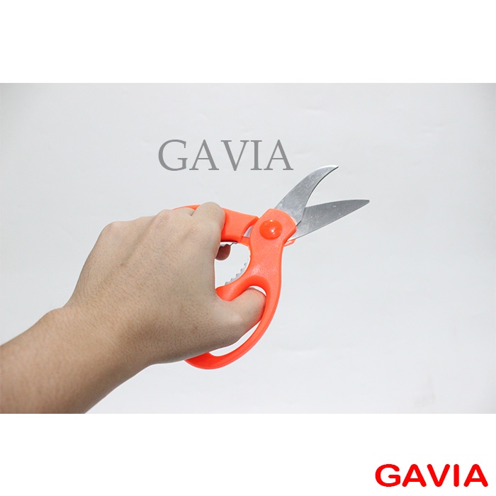 Gunting Kecil Stainless / Gunting Rumput / Gunting Dapur / Gunting Sayuran GAVIA GDZH-12