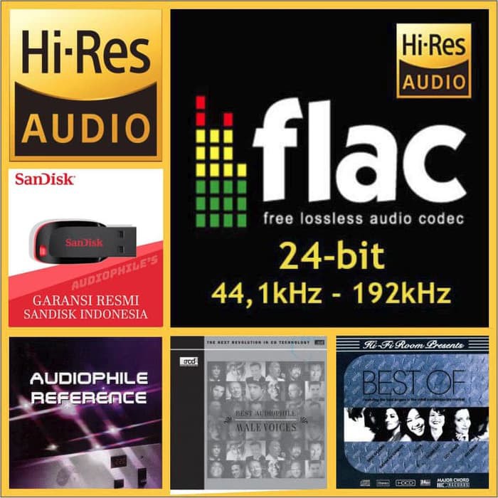 Flac 24-bit Kompilasi Audiophiles & FD 32GB - Digital Audio