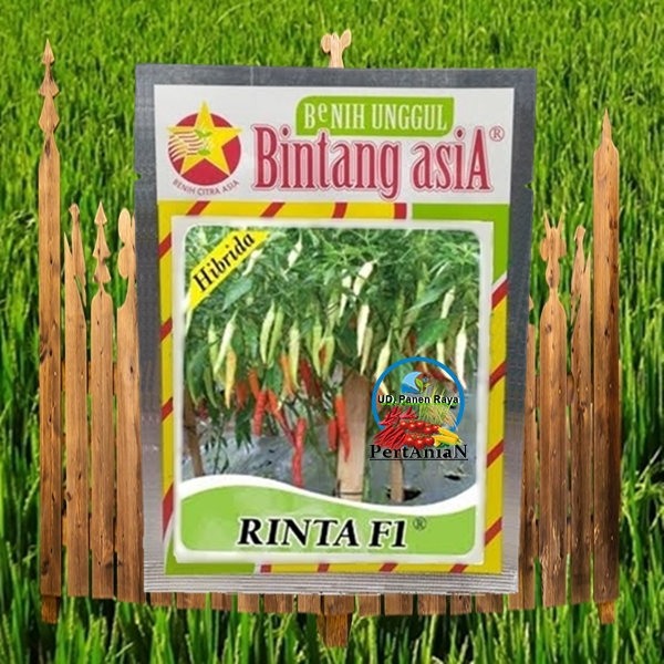 Benih Unggul Cabe Rawit RINTA F1 By Bintang Asia
