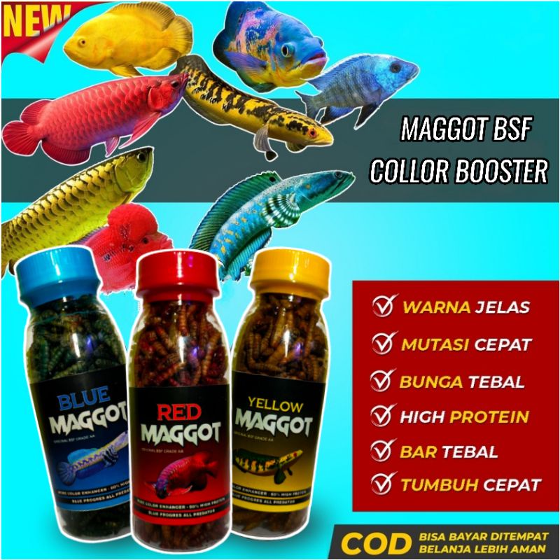 Maggot Collor Booster 100ml Khusus Promo