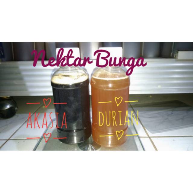 

Madu Hutan Murni 100% Durian