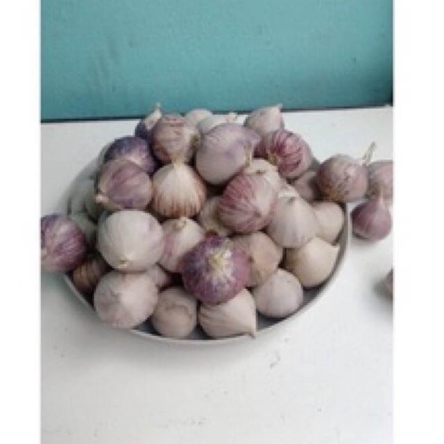 

bawang tunggal lanang import 100gram ukuran Besar Dan Sedang Dijamin fresh