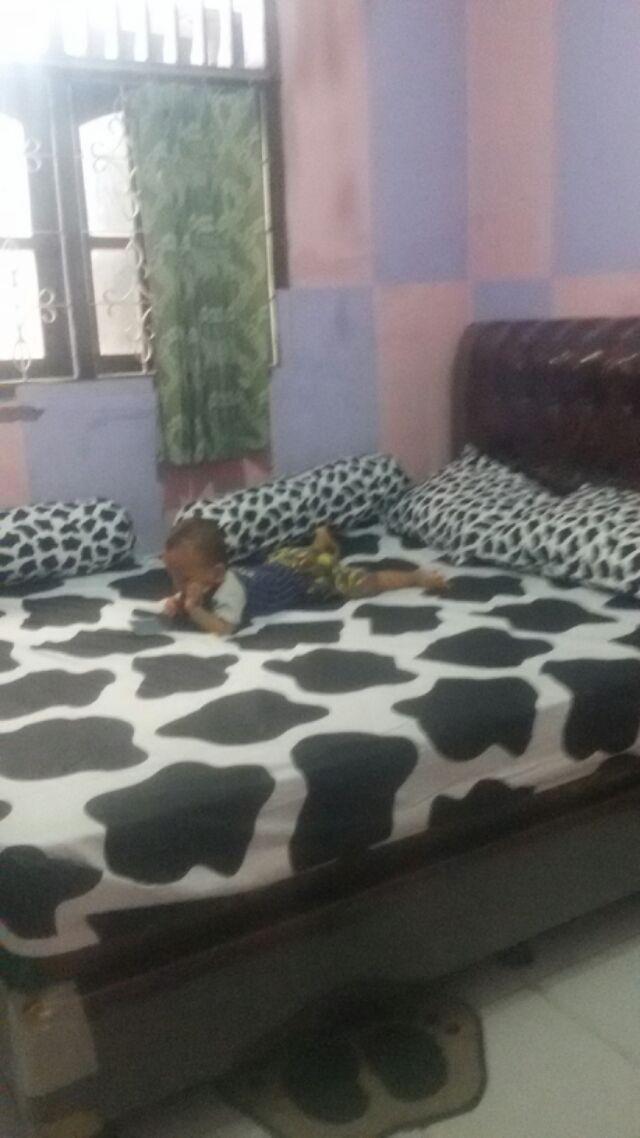 Sprei Katun Esra Snow Rabit Tosca