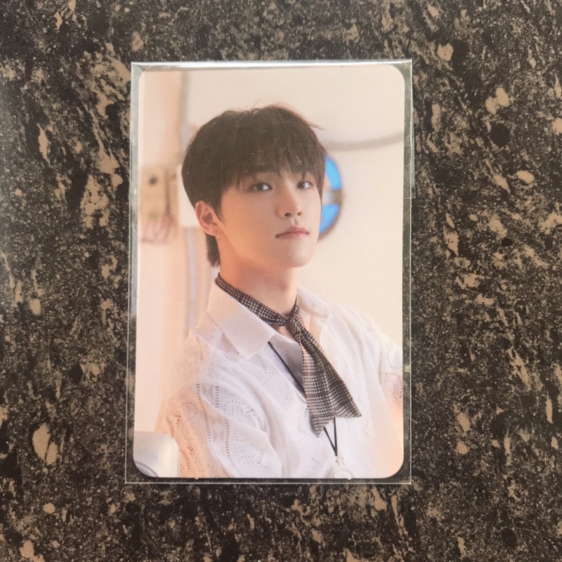 SEVENTEEN Henggarae Synnara China Benefit Dino PC Photocard