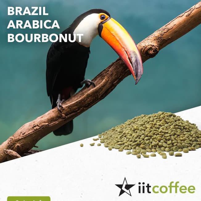 

6Bkl Arabica Green Beans - Brazil Bourbonut Natural 1 Kg Oakt