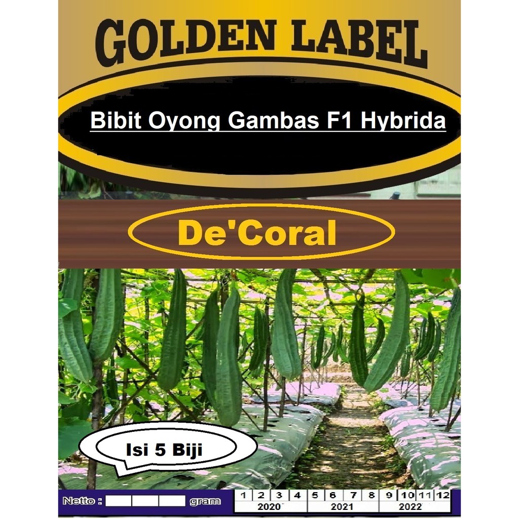 Bibit Oyong Gambas F1 Hybrida | Benih Oyong