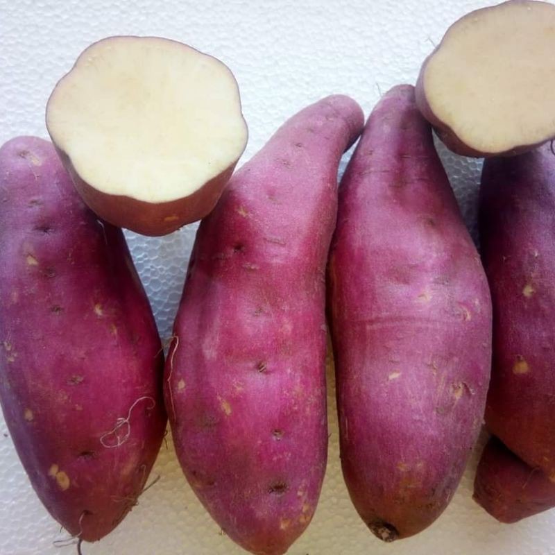 

UBI JEPANG MANIS 1000gr