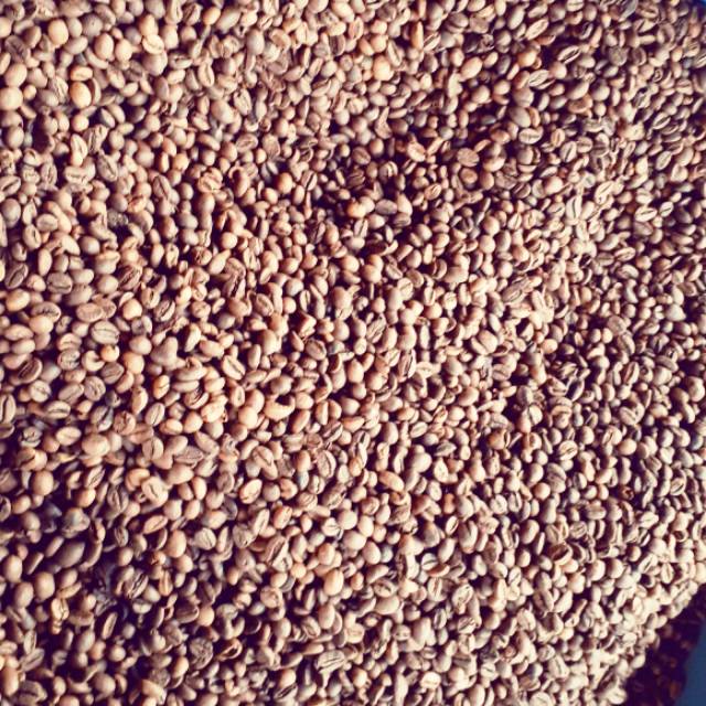 

Roastedbean