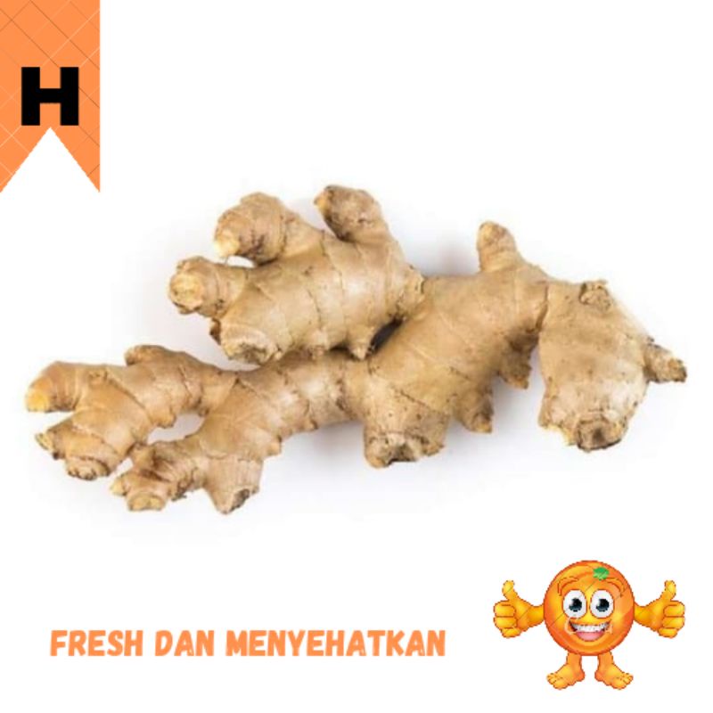 

SAYUR JAHE PUTIH 250 GRAM