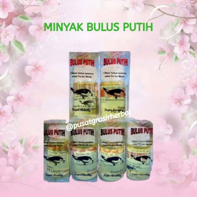 Cod Minyak Bulus Putih Box Original 100 Grosir Murah Grosir Kosmetik Shopee Indonesia