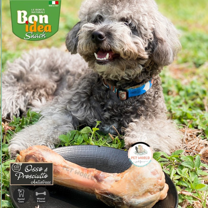 Jual Bon Idea Ham Bone Osso Prosciutto Single Dog Snack Tulang Anjing