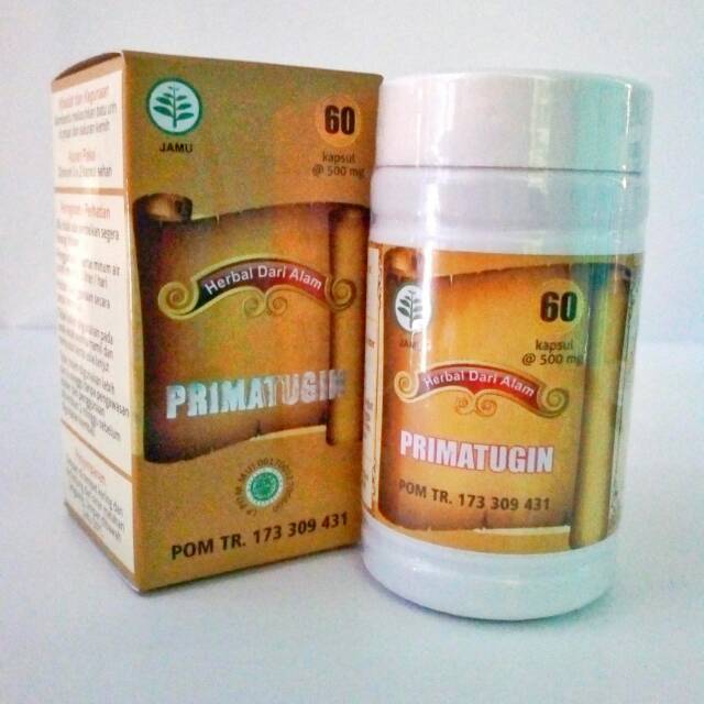 Obat batu ginjal Alami