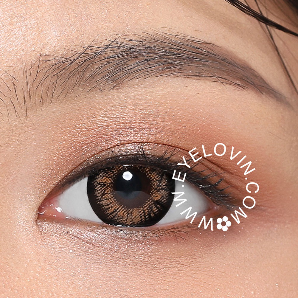 EYELOVIN Softlens Mite Clair - V Check Brown