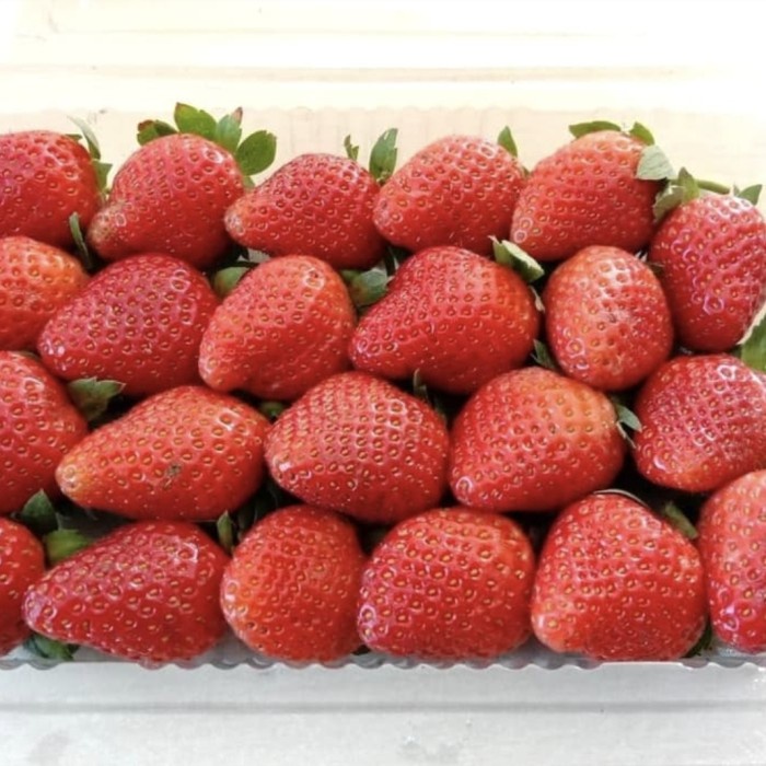 

PROMO Strawberry (pack 250g)