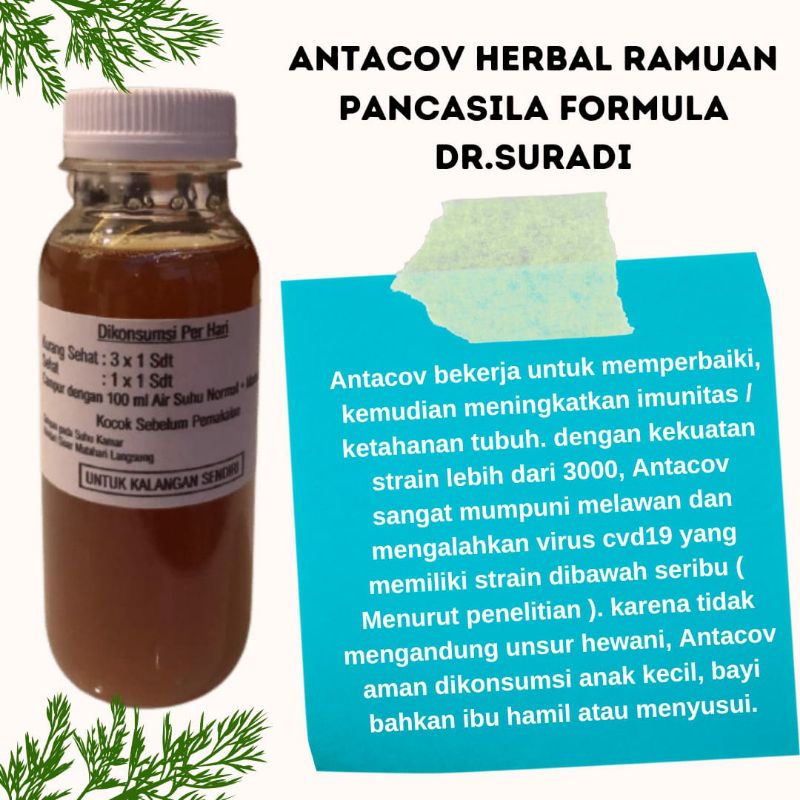 RADANG BATUK PILEK ANTI VIRUS CORONA ANTACOV HERBAL PROBIOTUK RAMUAN PANCASILA IMUNITAS TUBUH DR.SUR