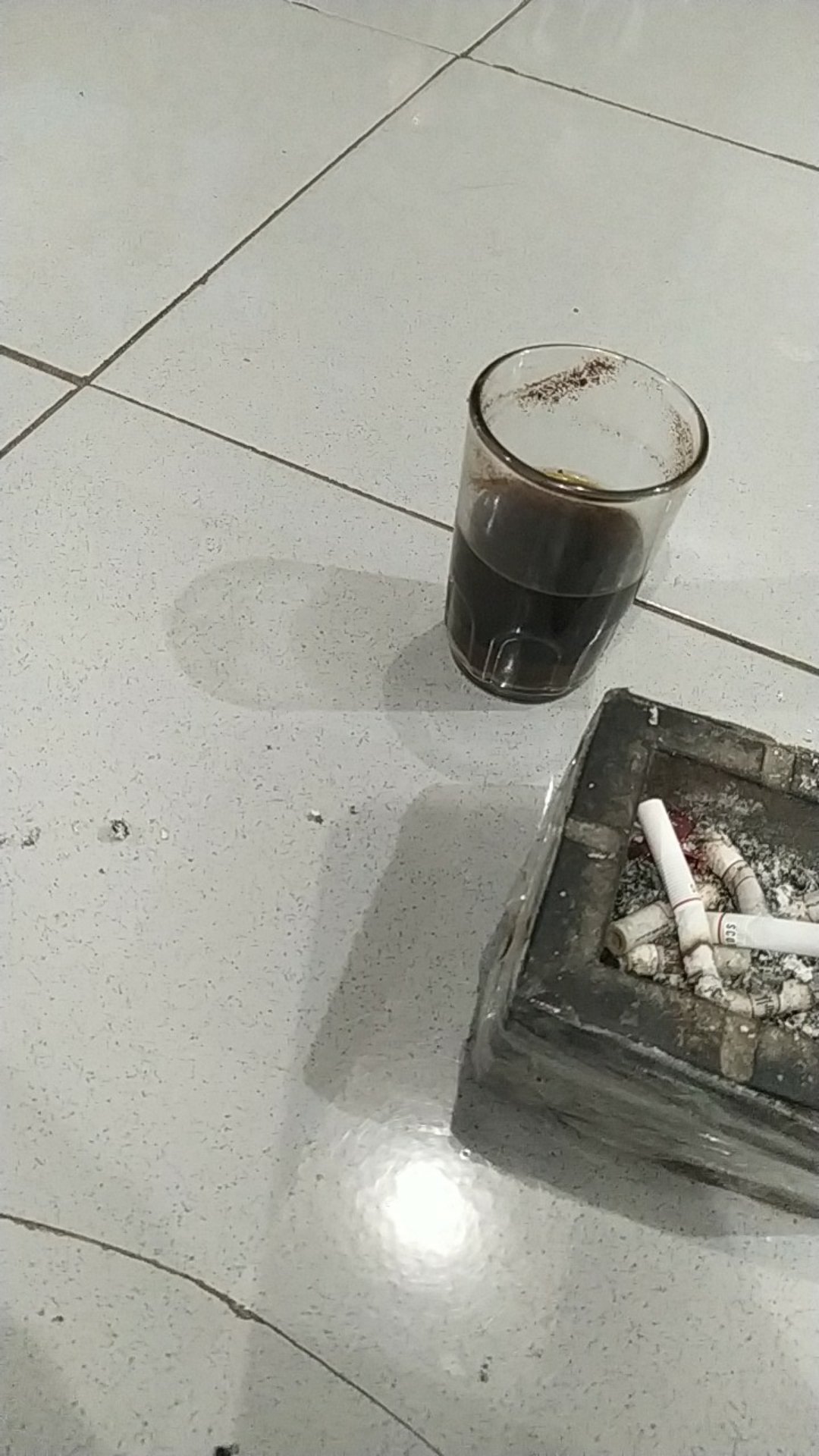 Ikan Hias Sapu Sapu Albino