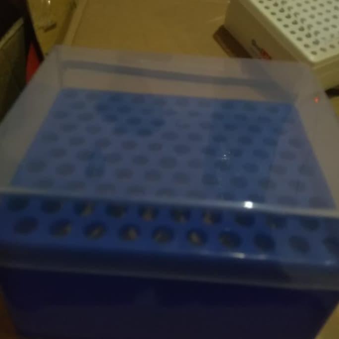 

BOX BLUE TIP, RAK BLUE TIP