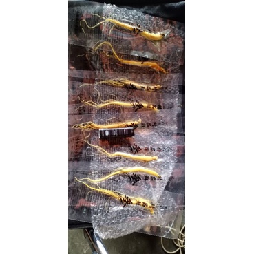 

Ginseng segar