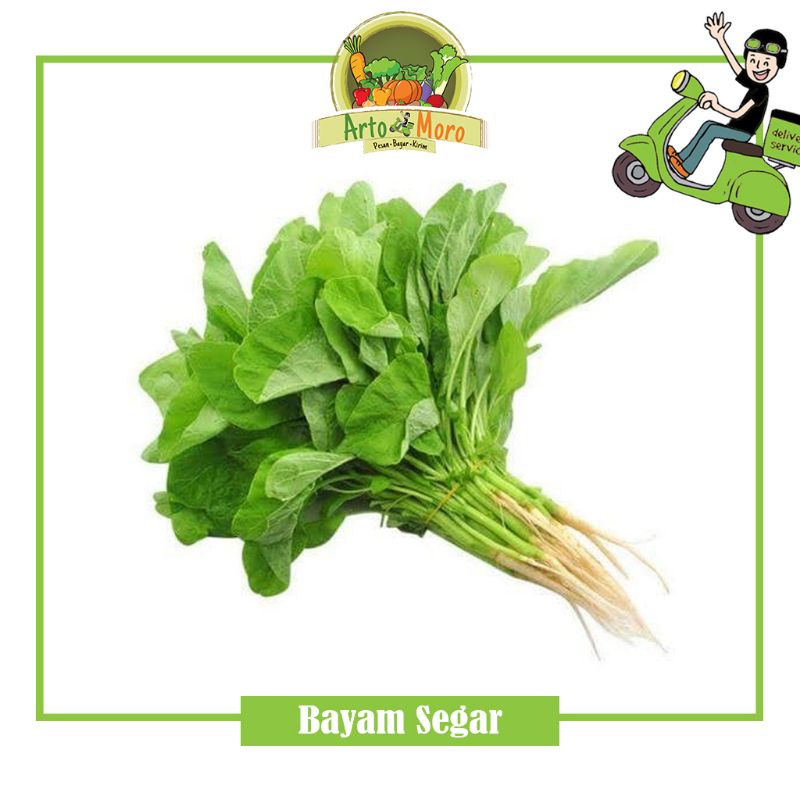 

Sayur Bayam Segar / Per Ikat