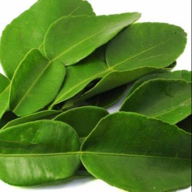 

Daun Jeruk Nipis Segar Frest 250Gram