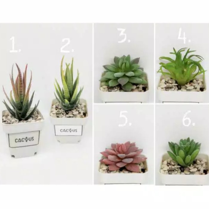 Langsung Order Tanaman Hias Artifisial Mini Kaktus Plastik Dekorasi Meja Cantik Limited