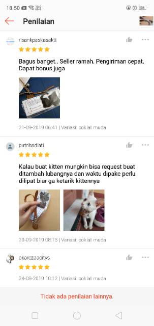 LOOD KALUNG KUCING UKIR NAMA DI TALI DAN LIONTIN