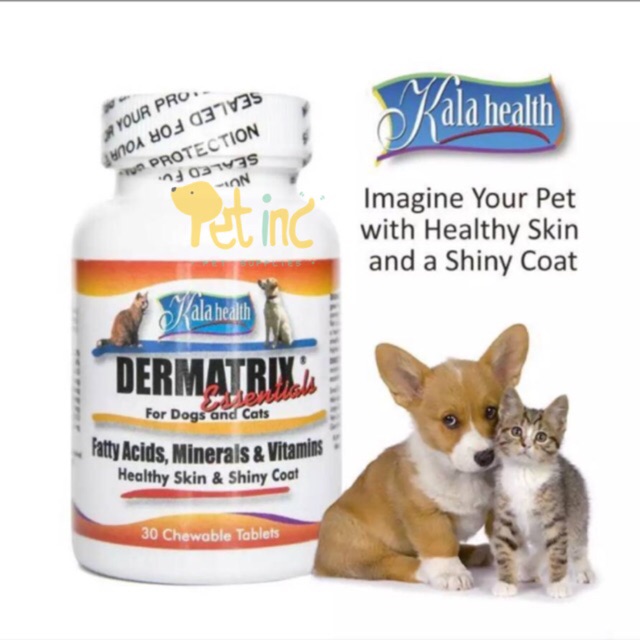 Dermatrix vitamin bulu anjing essential