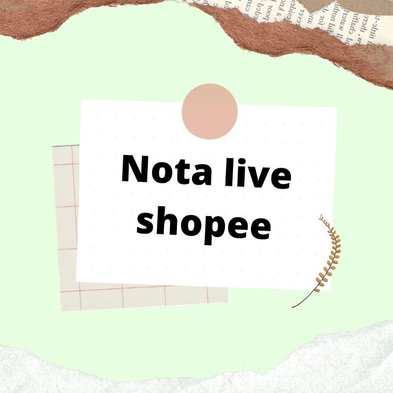 Anggrek Bulan Jumbo Premium