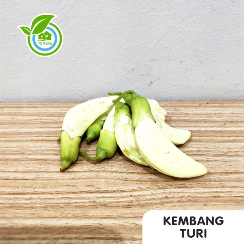 

kembang Turi (250gram)
