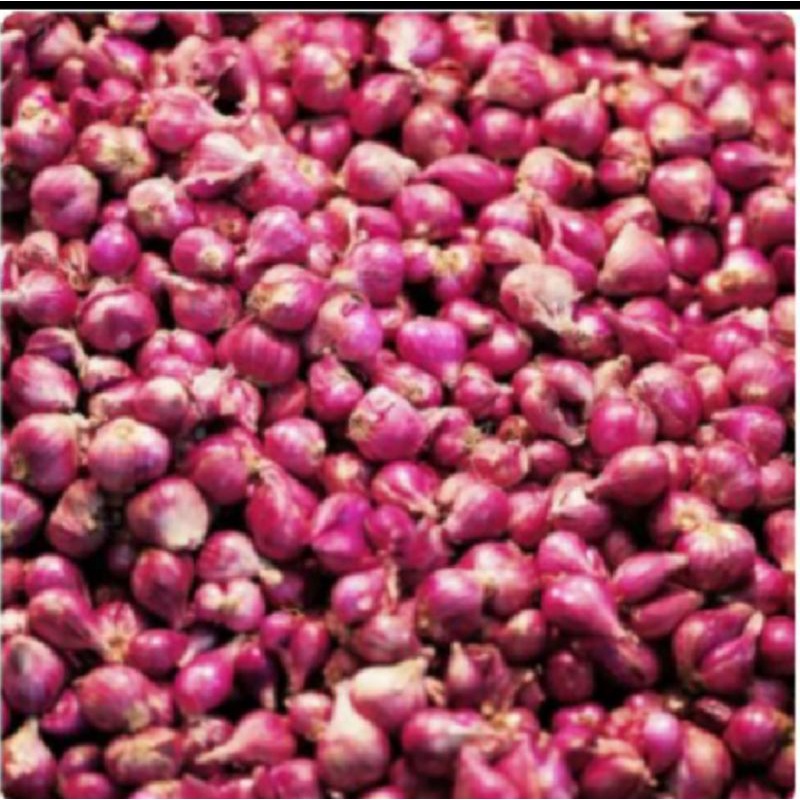 

Bawang Merah Kering Tanggung Campur Kecil