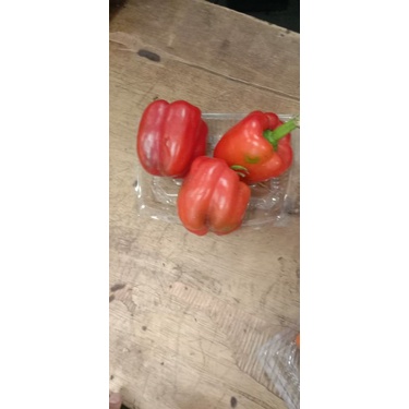 

Paprika Merah