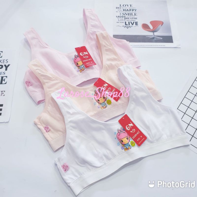 Miniset Golden Nick MS 376 Tali Lebar | Miniset Gn 376