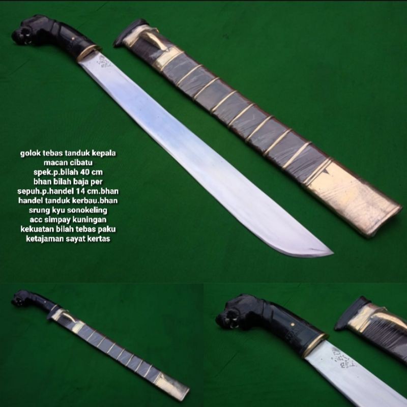 G0LOK Tanduk Kepala Macan Cibatu