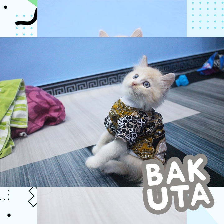 Kaos Lengan Panjang Motif Batik / Baju Kucing tangerang murah / baju kucing lucu size S-XL