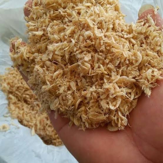 

Udang rebon kering 100 gram udang untuk peye gorengan udang asin rebon