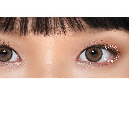 ➪ Softlens Kitty Kawaii - Mini Ella Brown ➧