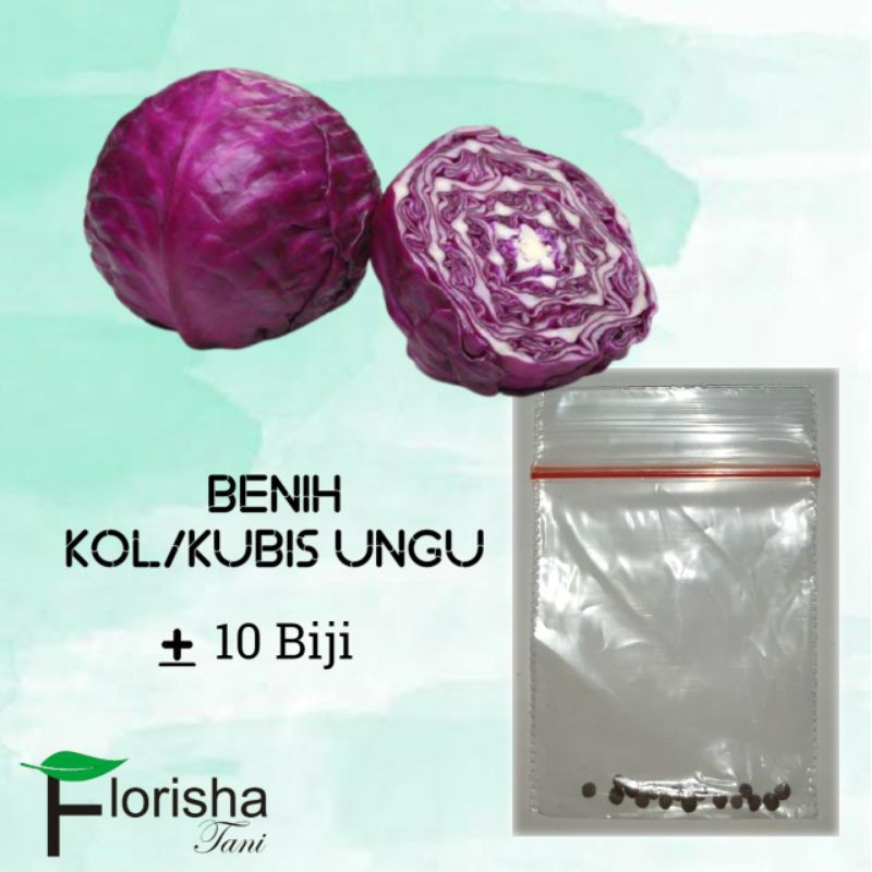 Jual Benih Bibit Biji Kol Kubis Ungu Kemasan Kecil Repack Shopee