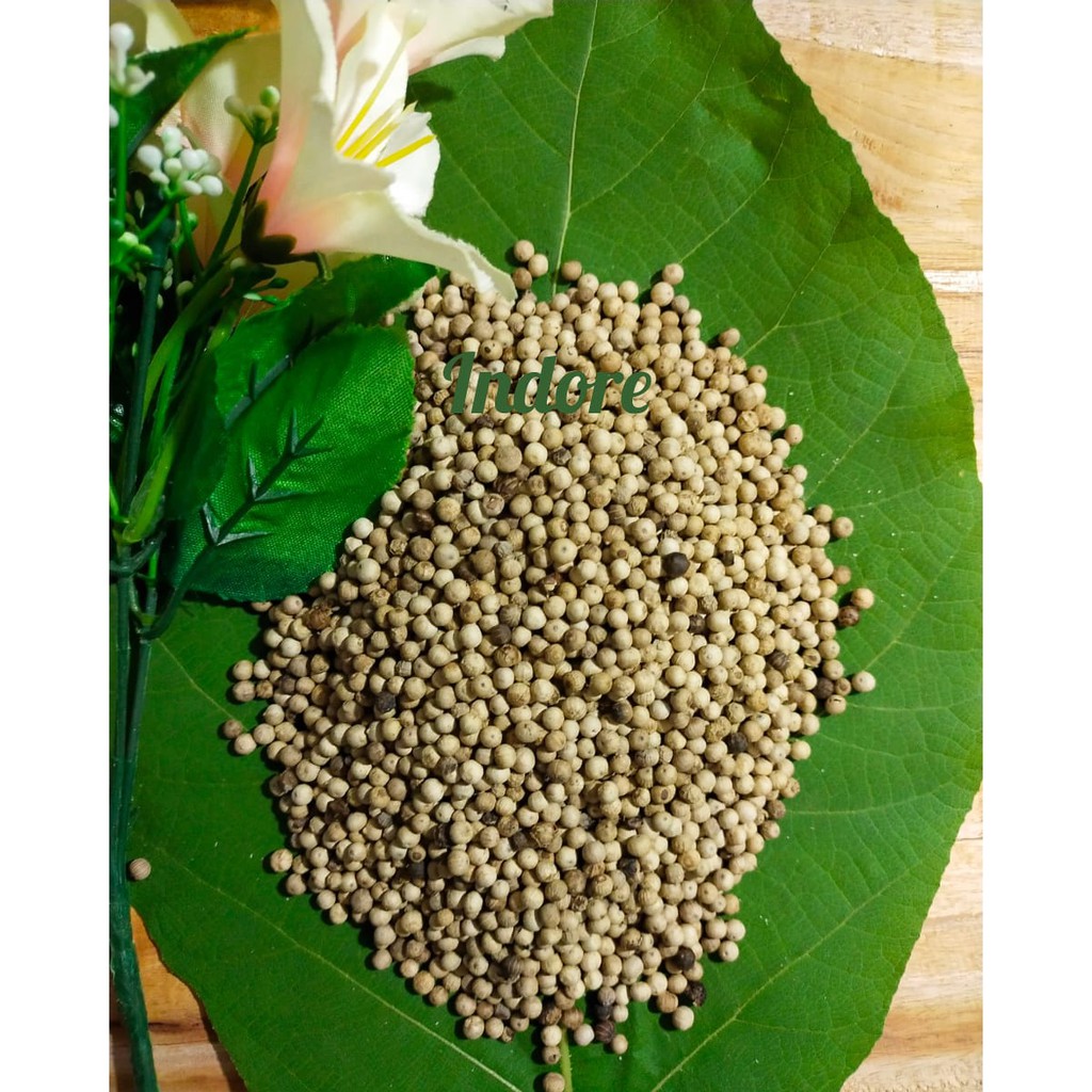 

MERICA BULAT / MERICA UTUH / LADA PUTIH ALAMI