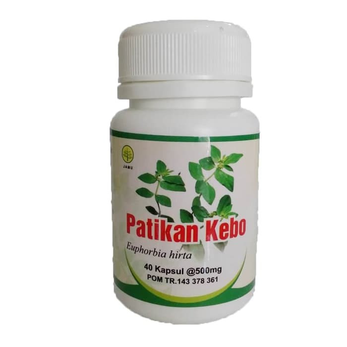 

PETIKAN KEBO (Obat HErbal Kapsul)