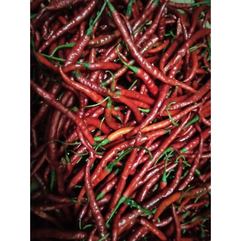 

Cabai merah keriting /250gram